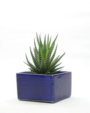 571 - vintage bloempotje vierkant blauw