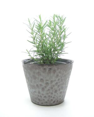 1247 - bloempot met stippen motief