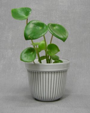 1319 - Bloempot Westraven Utrecht 431 wit