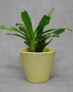 1341 - Bloempot ADCO A geel