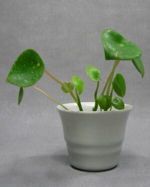 1399 - bloempot ADCO A licht blauw