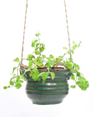 1482 - hangbloempotje groen