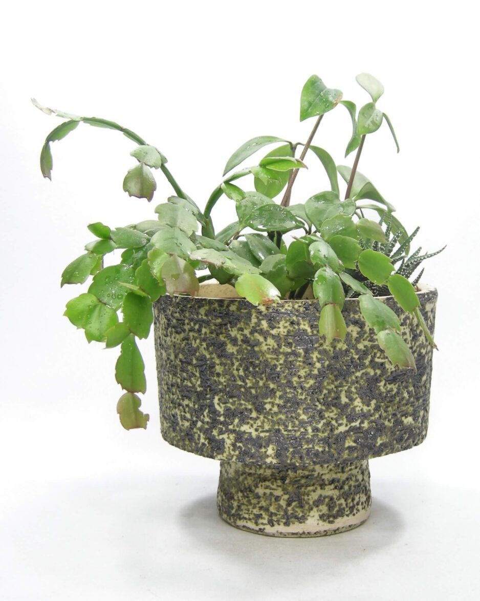 1590 - vintage bloempot Berkenbast zwart - groen