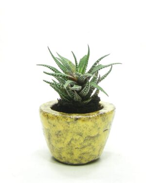 1598 - vintage bloempotje - potje Kunstnijverheid Peeteboom, C. en Zn. Santpoort geel - bruin