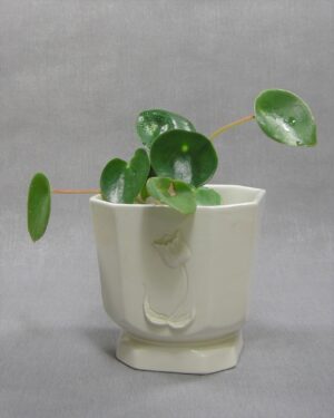 1651 - vintage bloempot Tulp 79-54 wit vierkant