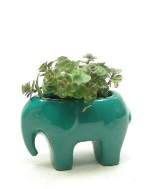 1911 - bloempotje olifant groen