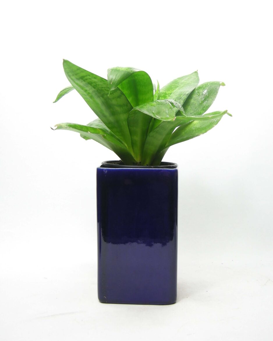 2003 - vintage bloempot H2 vierkant blauw