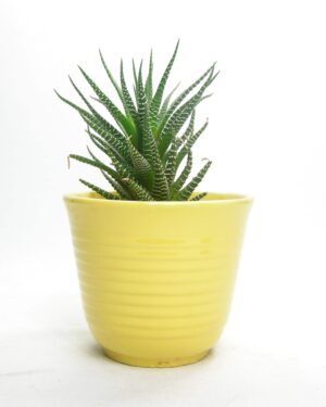 2103 - vintage bloempotje op stokjes gebakken geel