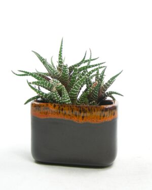 2167 - bloempotje fat lava