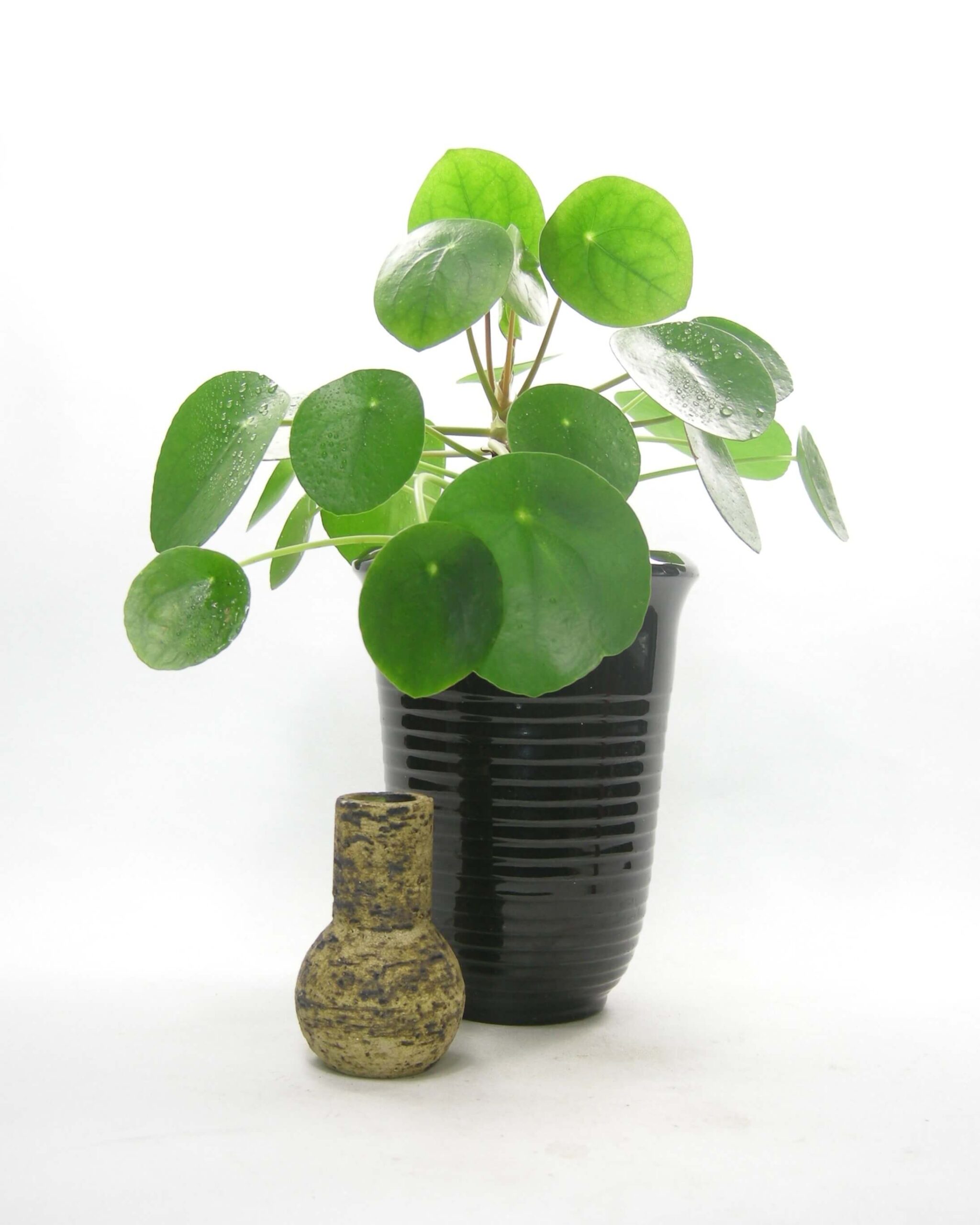 2505-2506 - vintage bloempot Frankton en vaasje Lore Beesel
