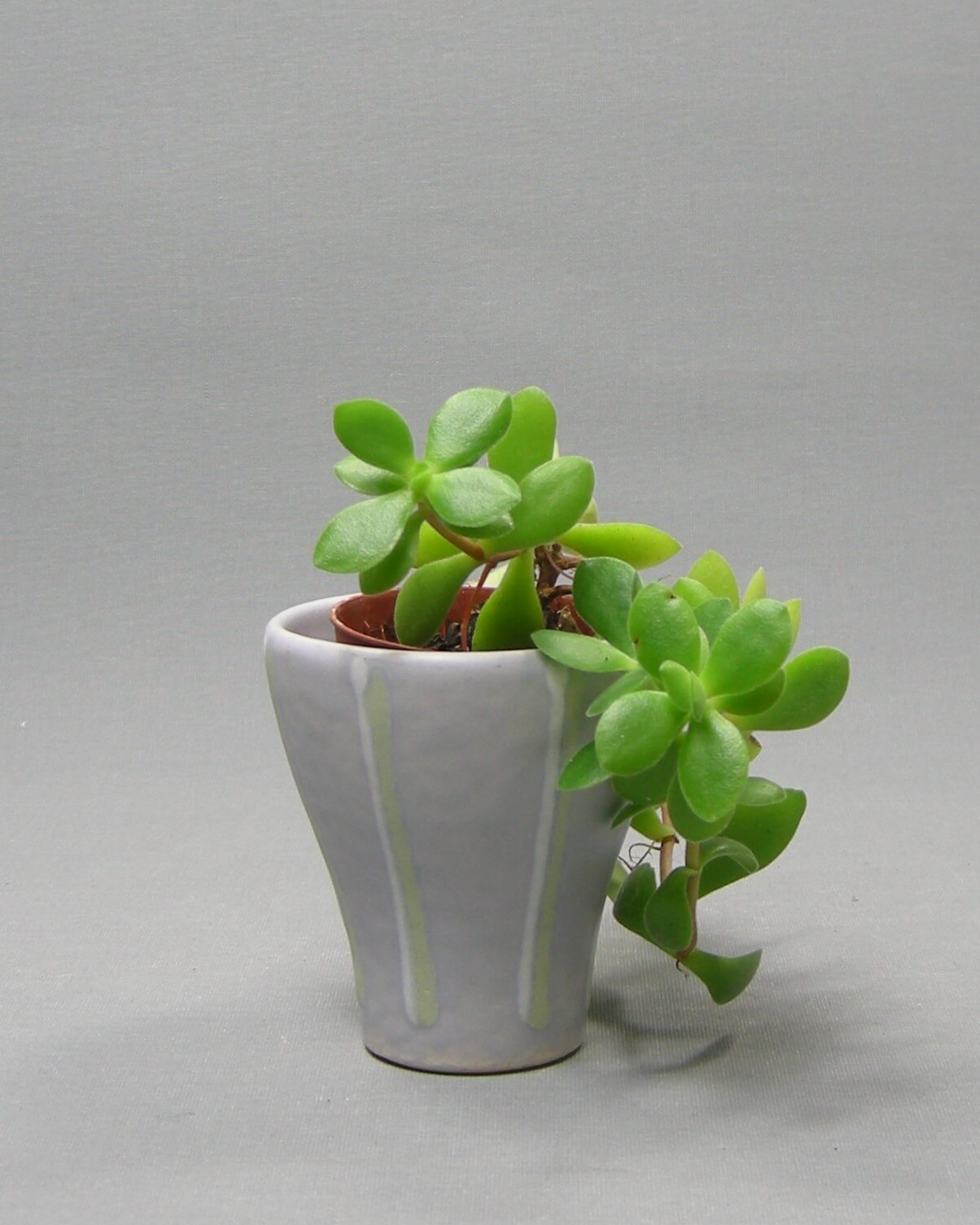 2572 - bloempotje Dumler & Breiden