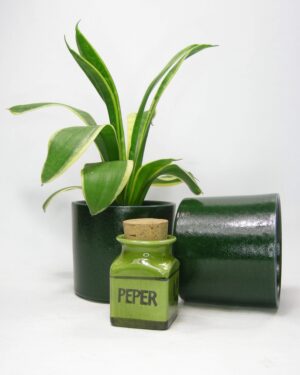 2598 - 2599 - groene bloempot en peperpotje Javurek Holland