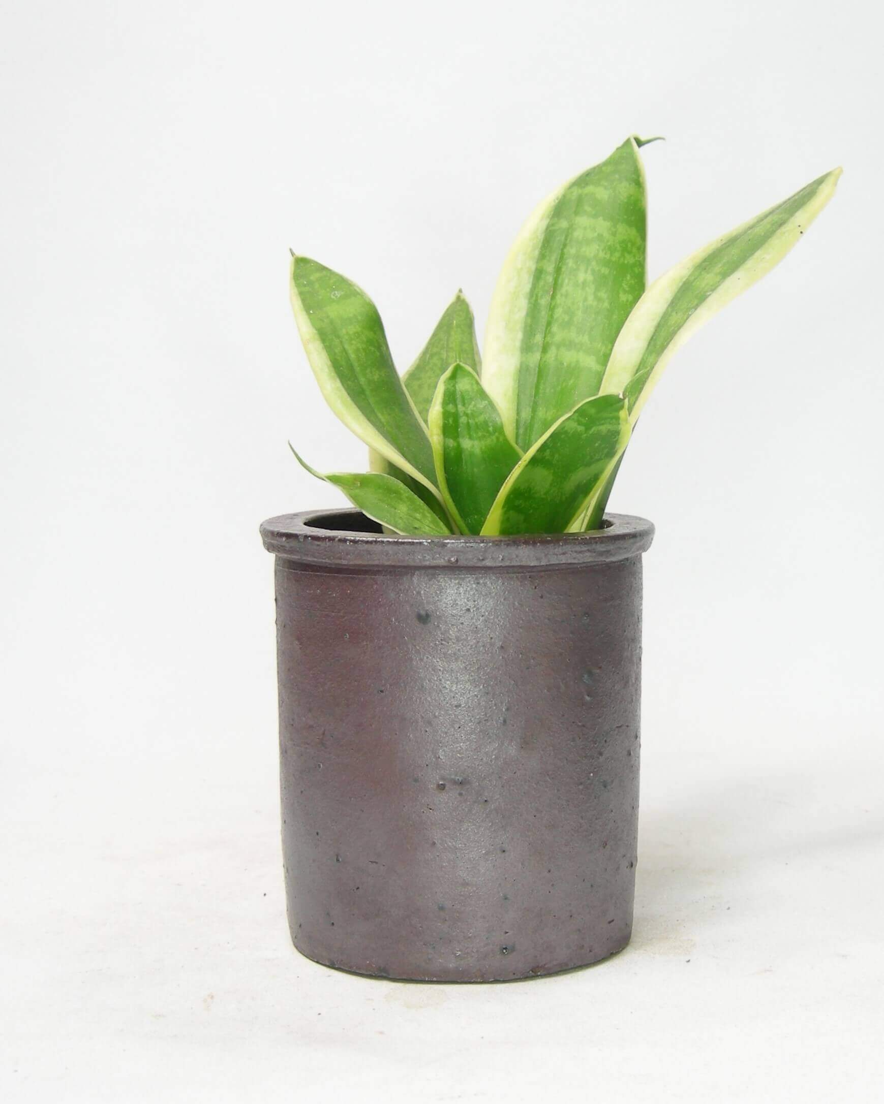 Bloempotje metallic - Afbeelding 5