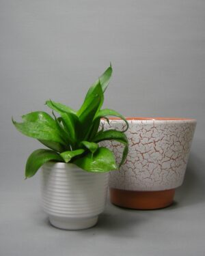 2612-2613 - vintage bloempotten op stokjes gebakken