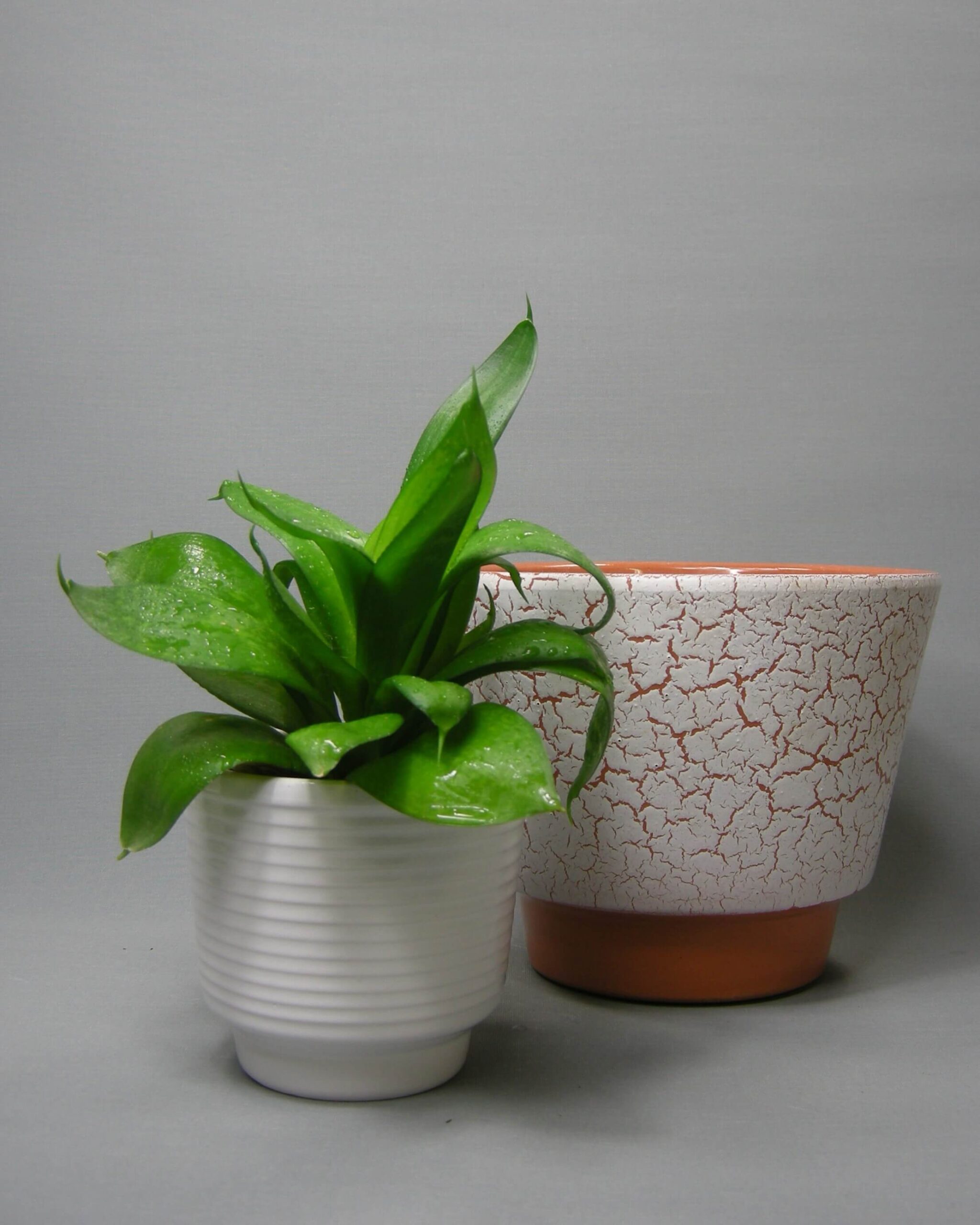 2612-2613 - vintage bloempotten op stokjes gebakken