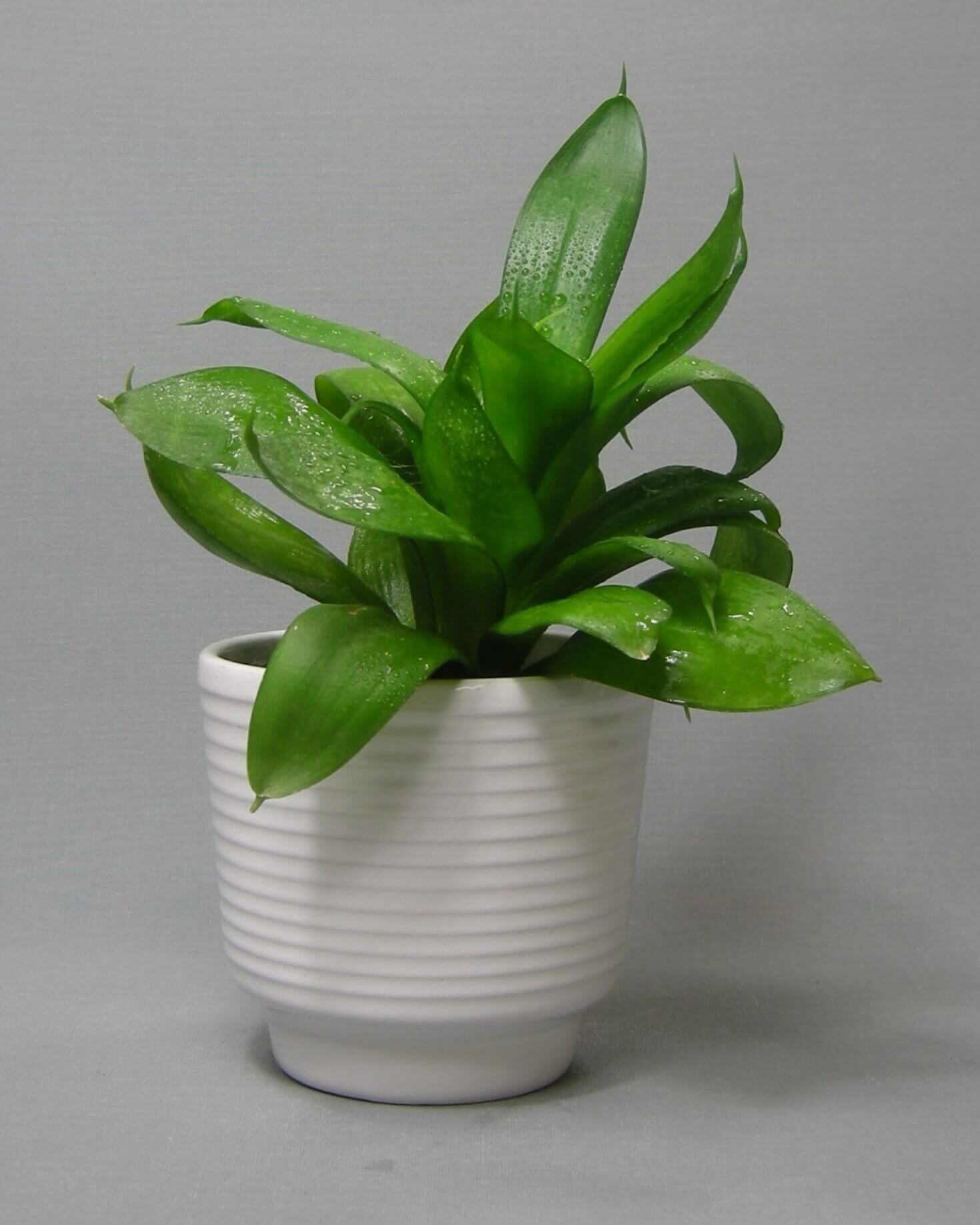 2612 - vintage bloempotje op stokjes gebakken