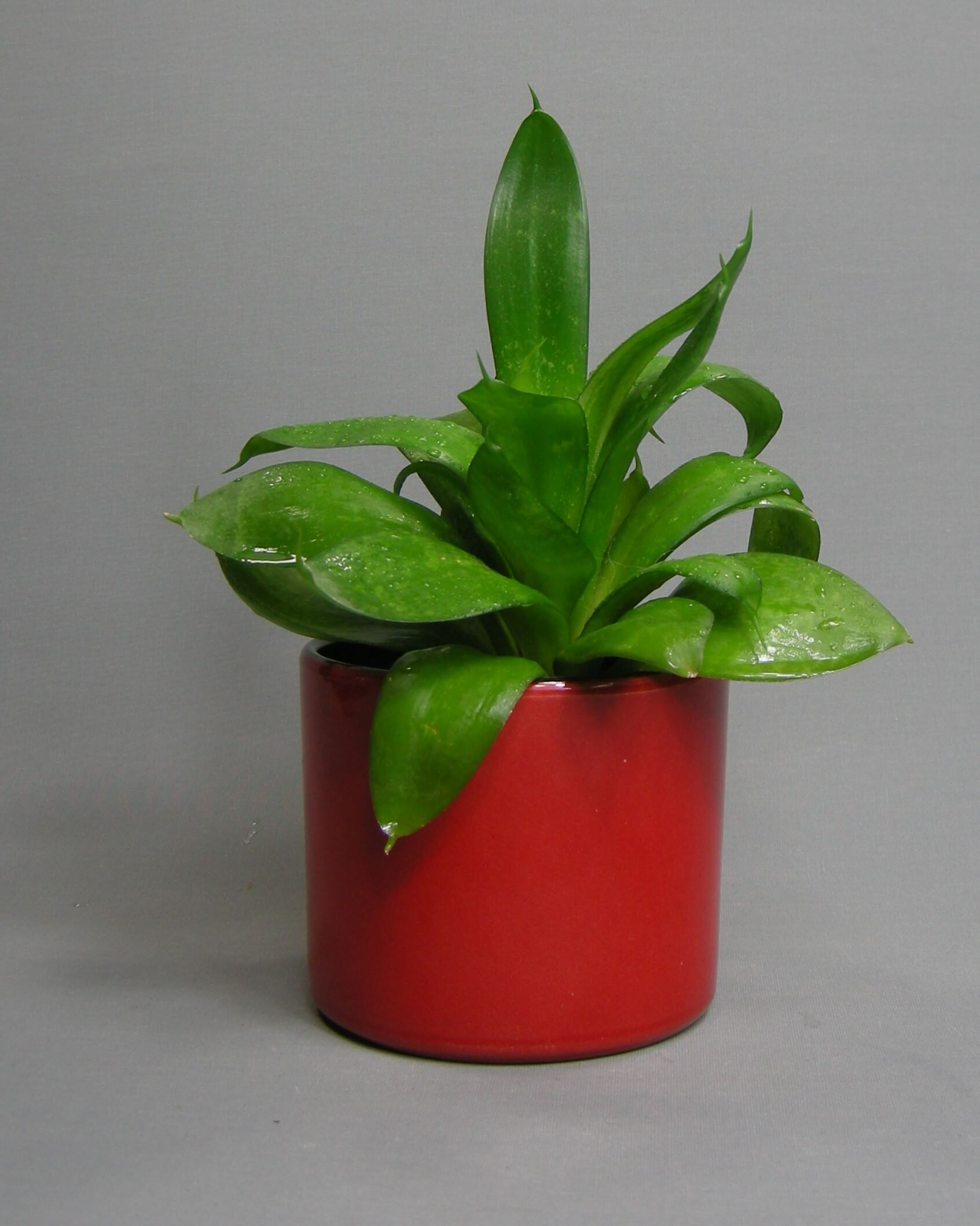 2673- vintage bloempotje op stokjes gebakken