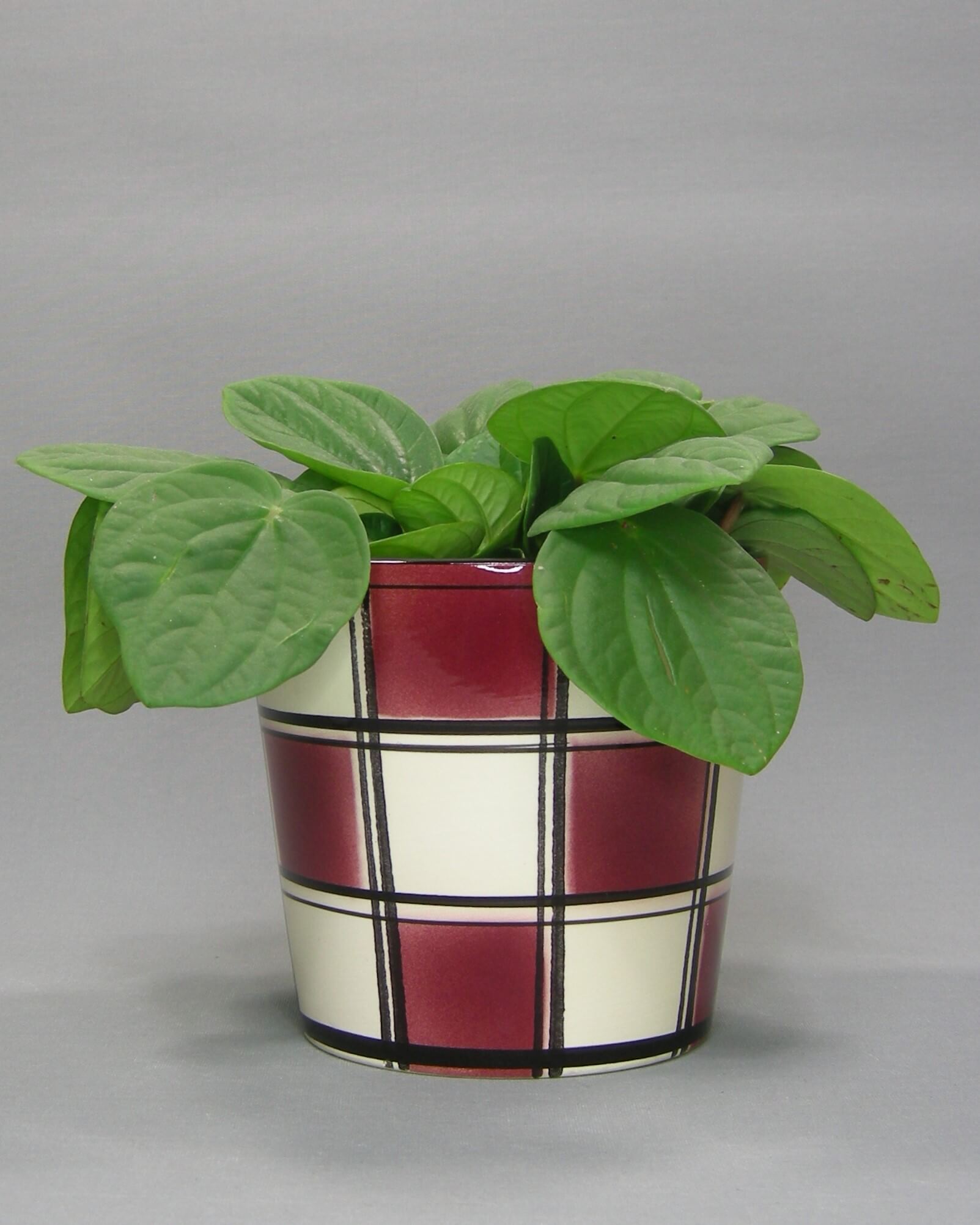 2791 - vintage geblokte bloempot