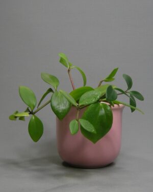 2798 - vintage bloempot GDR 517-12 G roze