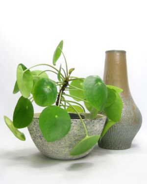 2913-2915 - vintage bloempot blauwe berkenbast, vaas Jasba 123-28
